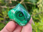 Polished Malacolla Free Forms x 12 From Kulukuluku, Congo - Toprock Gemstones and Minerals 