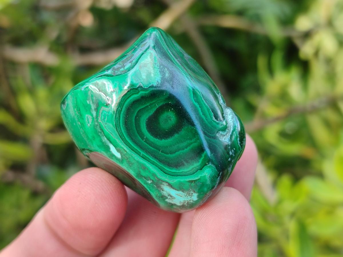 Polished Malacolla Free Forms x 12 From Kulukuluku, Congo - Toprock Gemstones and Minerals 