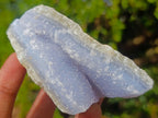 Natural Blue Lace Agate Geode Specimens x 12 From Nsanje, Malawi - Toprock Gemstones and Minerals 