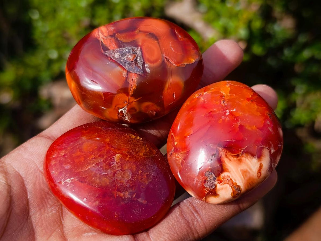 Polished Carnelian Agate Gemstone Galets x 24 From Madagascar - Toprock Gemstones and Minerals 