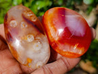 Polished Carnelian Agate Gemstone Galets x 24 From Madagascar - Toprock Gemstones and Minerals 