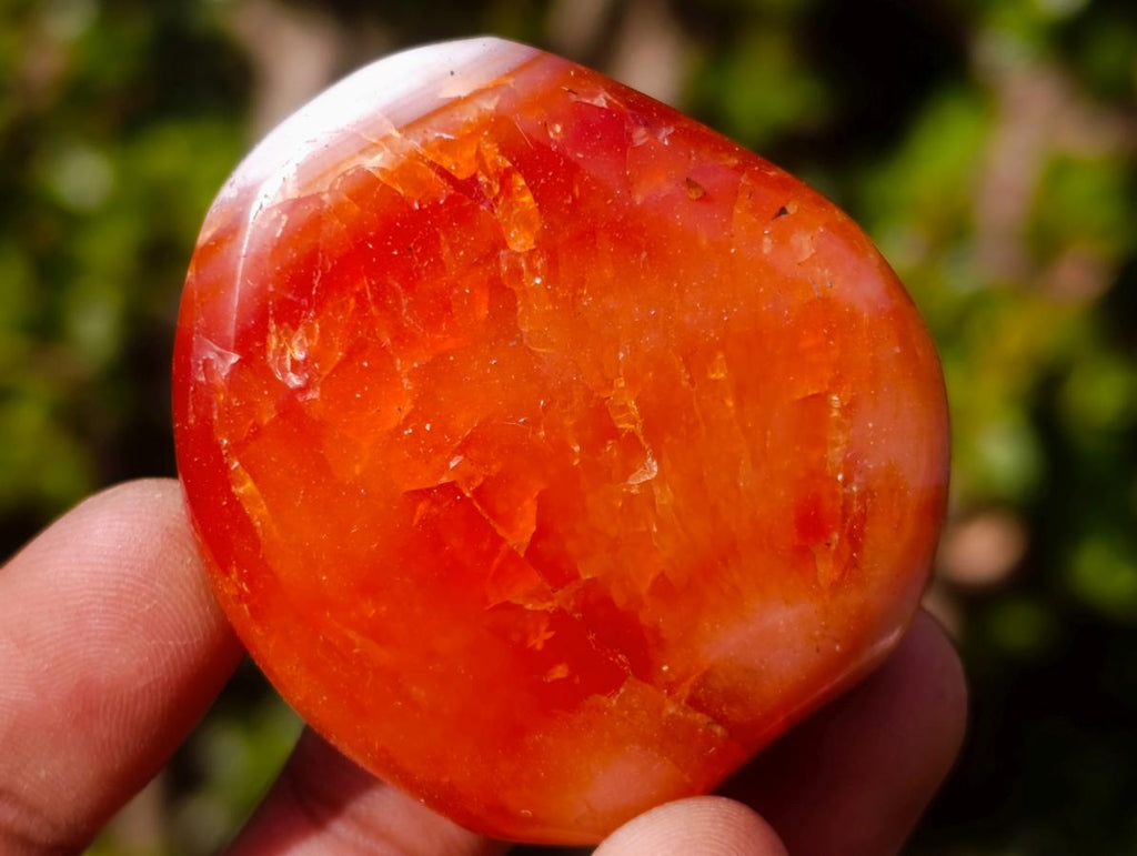Polished Carnelian Agate Gemstone Galets x 24 From Madagascar - Toprock Gemstones and Minerals 