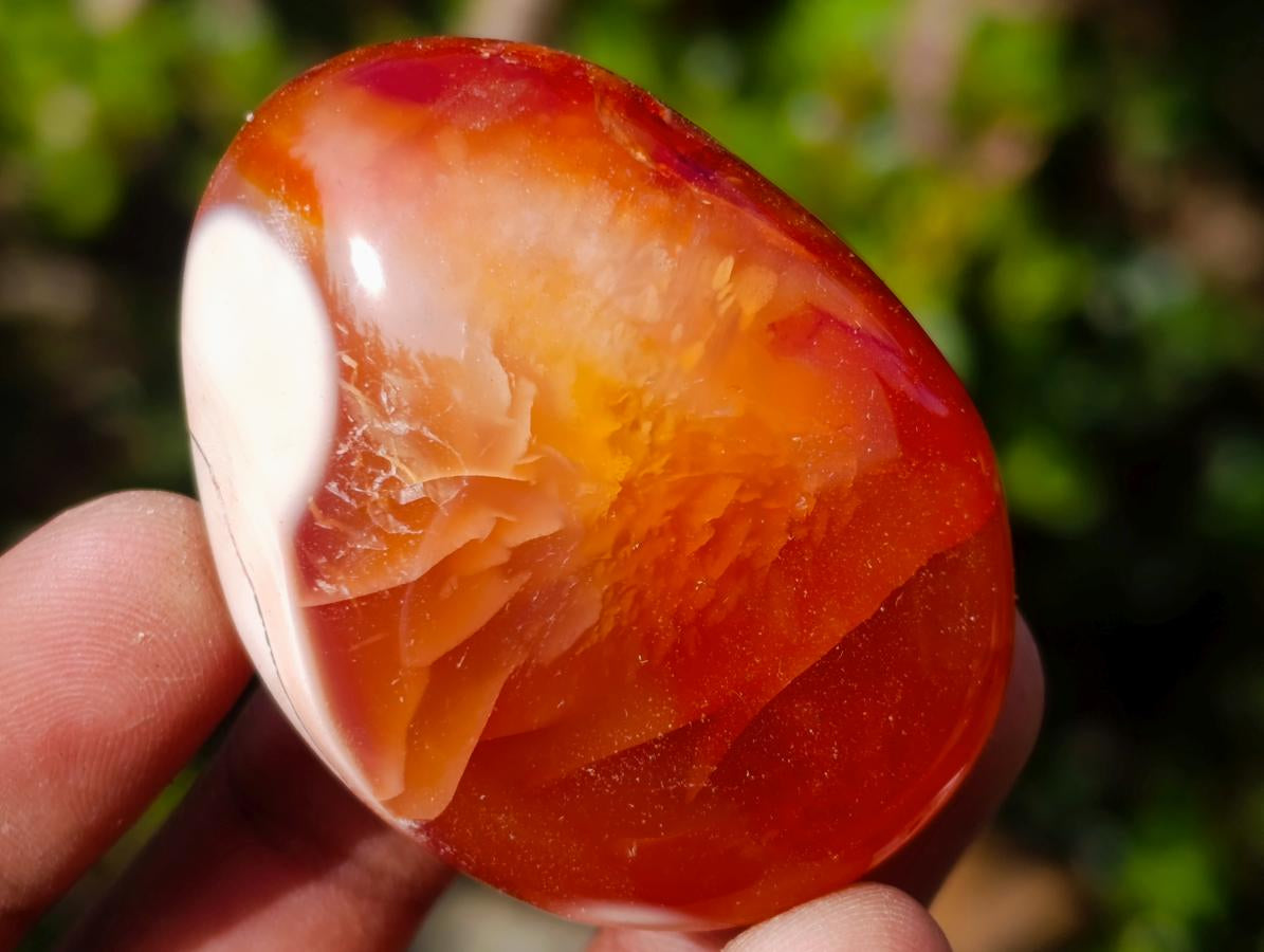 Polished Carnelian Agate Gemstone Galets x 24 From Madagascar - Toprock Gemstones and Minerals 