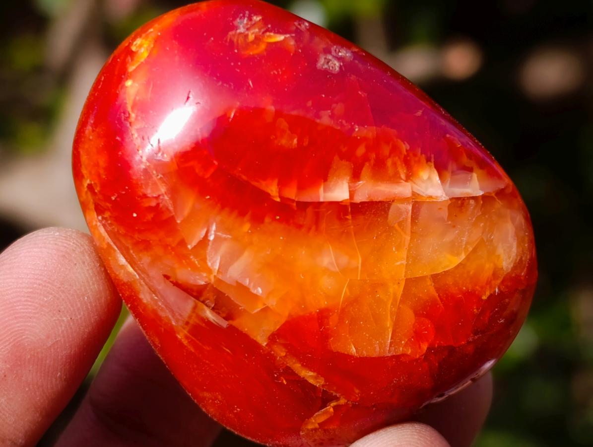Polished Carnelian Agate Gemstone Galets x 24 From Madagascar - Toprock Gemstones and Minerals 