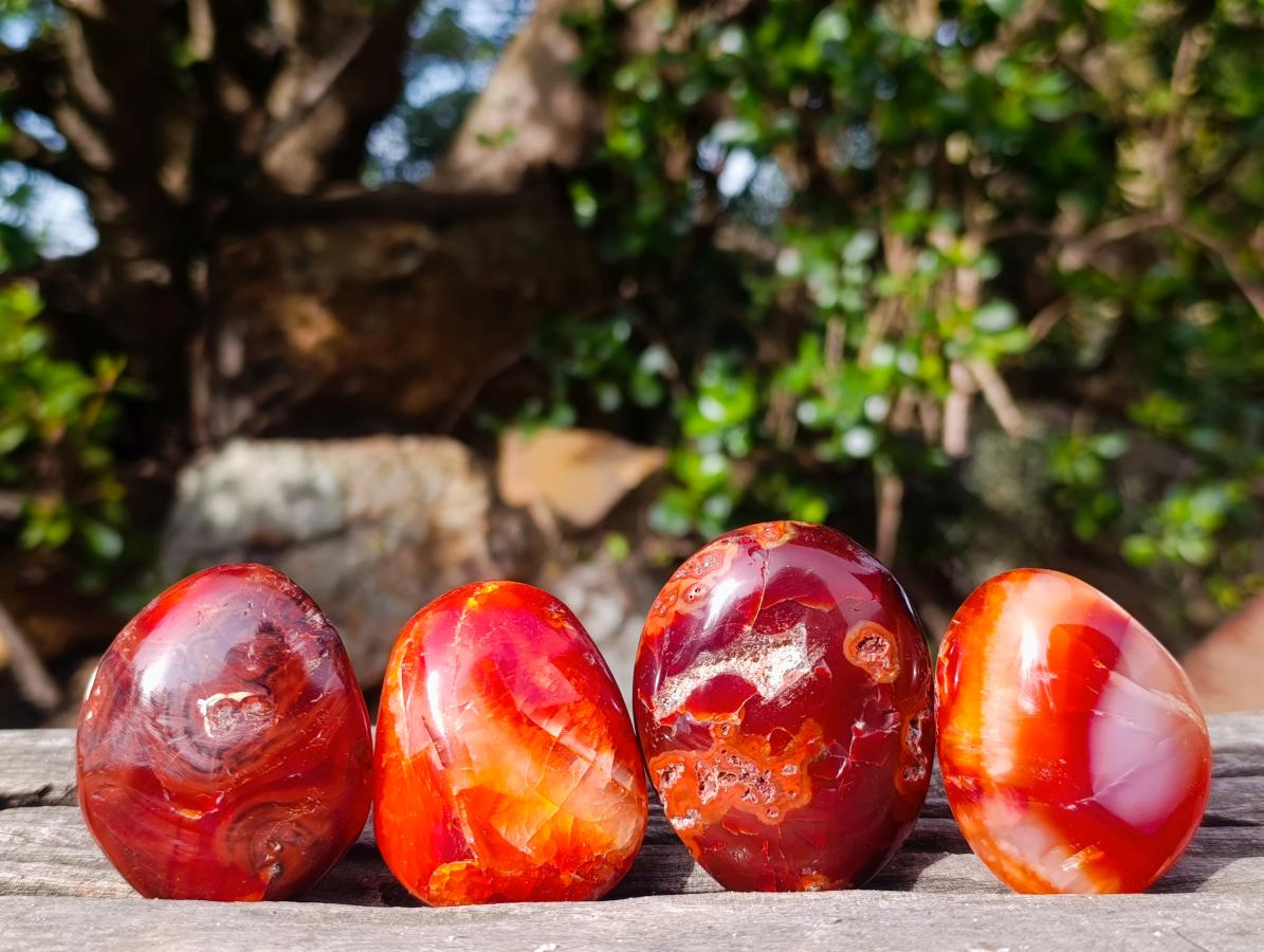 Polished Carnelian Agate Gemstone Galets x 24 From Madagascar - Toprock Gemstones and Minerals 