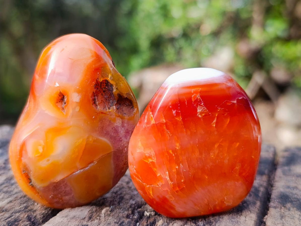 Polished Carnelian Agate Gemstone Galets x 24 From Madagascar - Toprock Gemstones and Minerals 