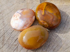 Polished Carnelian Agate Gemstone Galets x 24 From Madagascar - Toprock Gemstones and Minerals 