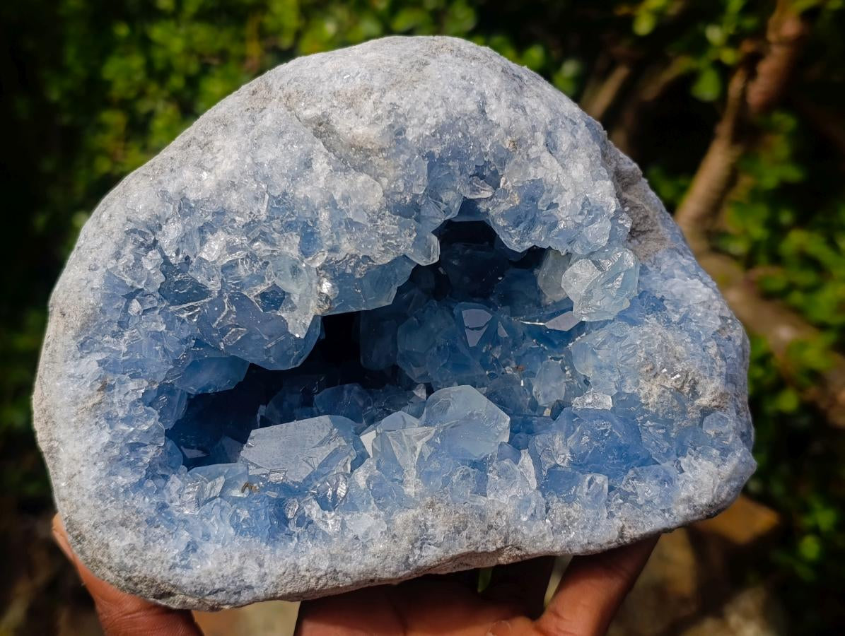 Natural Large Blue Celestite Geode Specimen x 1 From Sakoany, Madagascar - Toprock Gemstones and Minerals 