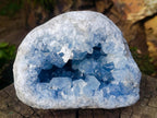 Natural Large Blue Celestite Geode Specimen x 1 From Sakoany, Madagascar - Toprock Gemstones and Minerals 