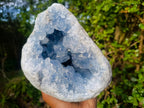Natural Large Blue Celestite Geode Specimen x 1 From Sakoany, Madagascar - Toprock Gemstones and Minerals 