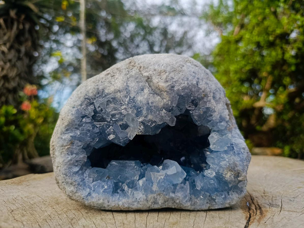 Natural Large Blue Celestite Geode Specimen x 1 From Sakoany, Madagascar - Toprock Gemstones and Minerals 