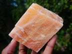 Natural Rhombohedral Sunset Orange Calcite Specimens x 6 From Spitzkop, Namibia - Toprock Gemstones and Minerals 