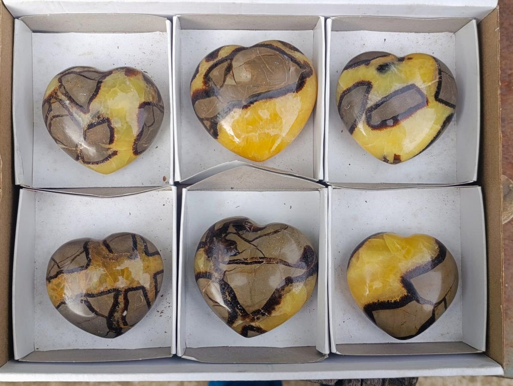 Polished Septerye Hearts x 6 From Mahajanga, Madagascar - Toprock Gemstones and Minerals 