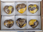 Polished Septerye Hearts x 6 From Mahajanga, Madagascar - Toprock Gemstones and Minerals 