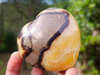 Polished Septerye Hearts x 6 From Mahajanga, Madagascar - Toprock Gemstones and Minerals 