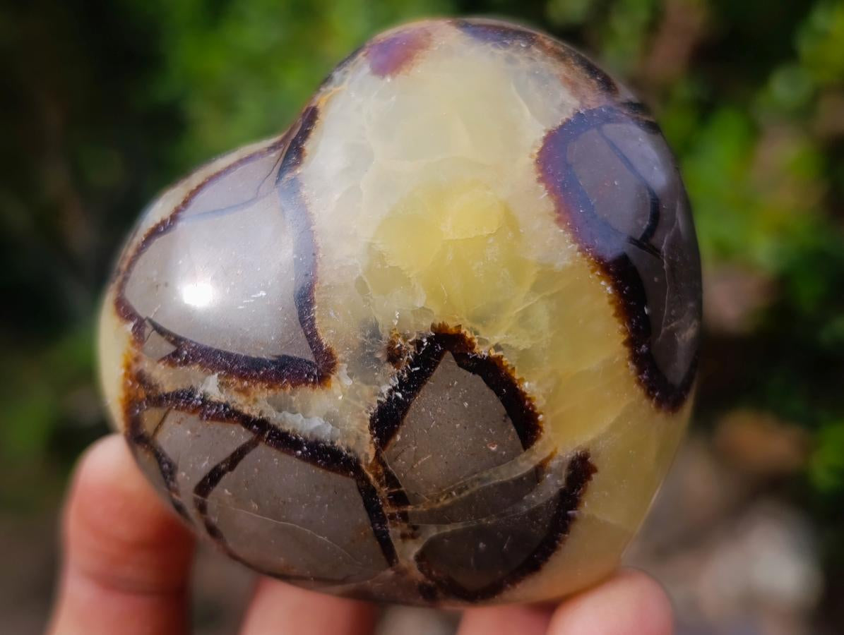 Polished Septerye Hearts x 6 From Mahajanga, Madagascar - Toprock Gemstones and Minerals 