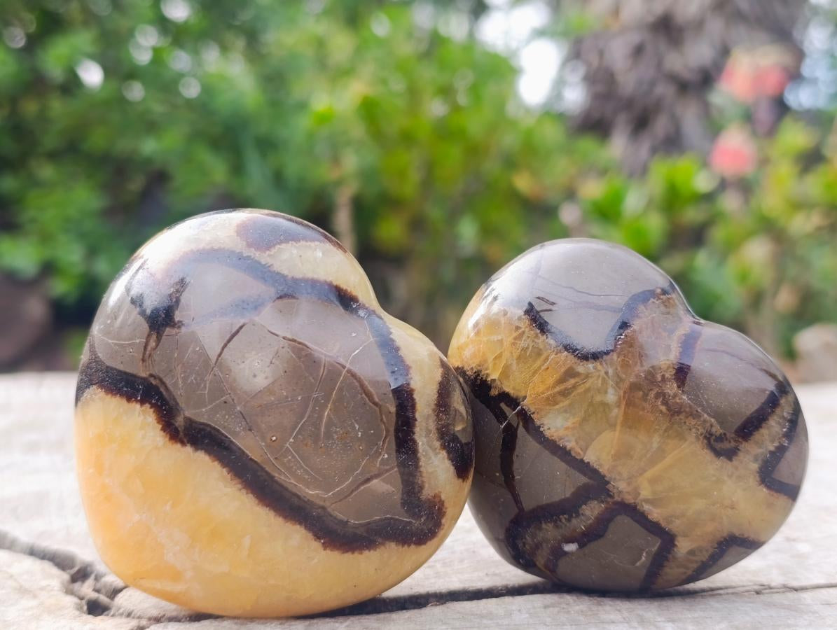 Polished Septerye Hearts x 6 From Mahajanga, Madagascar - Toprock Gemstones and Minerals 
