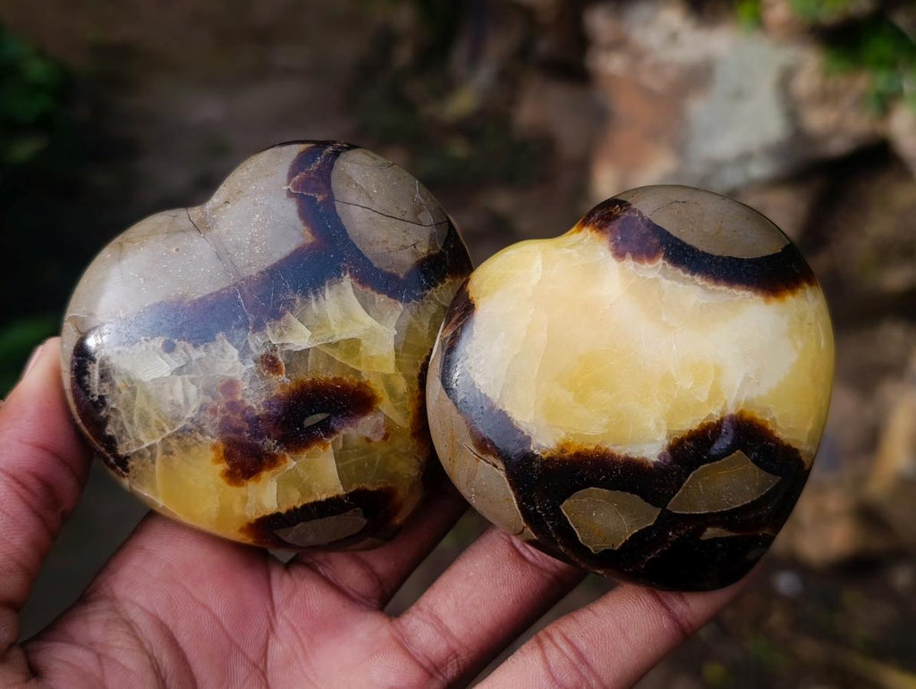 Polished Septerye Hearts x 6 From Mahajanga, Madagascar - Toprock Gemstones and Minerals 