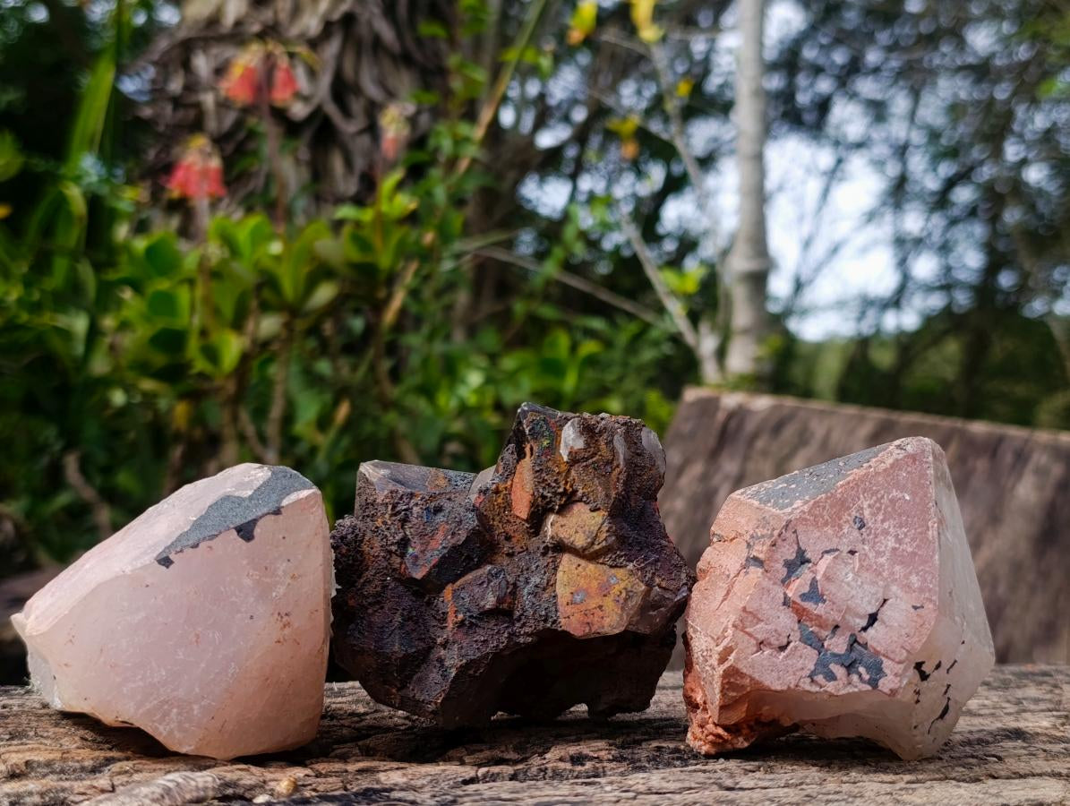 Natural Blacknite Coated with Goethite Crystals x 12 From Madagascar - Toprock Gemstones and Minerals 
