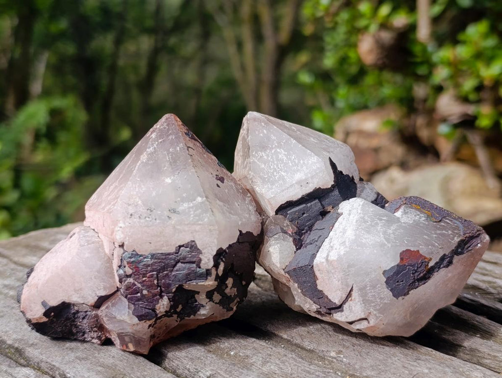 Natural Blacknite Coated with Goethite Crystals x 12 From Madagascar - Toprock Gemstones and Minerals 