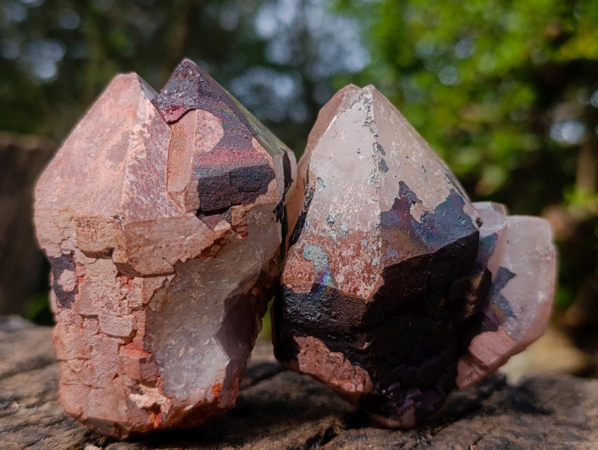 Natural Blacknite Coated with Goethite Crystals x 12 From Madagascar - Toprock Gemstones and Minerals 