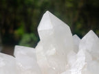 Natural Malagasy Quartz Clusters x 3 From Madagascar - Toprock Gemstones and Minerals 