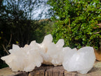 Natural Malagasy Quartz Clusters x 3 From Madagascar - Toprock Gemstones and Minerals 