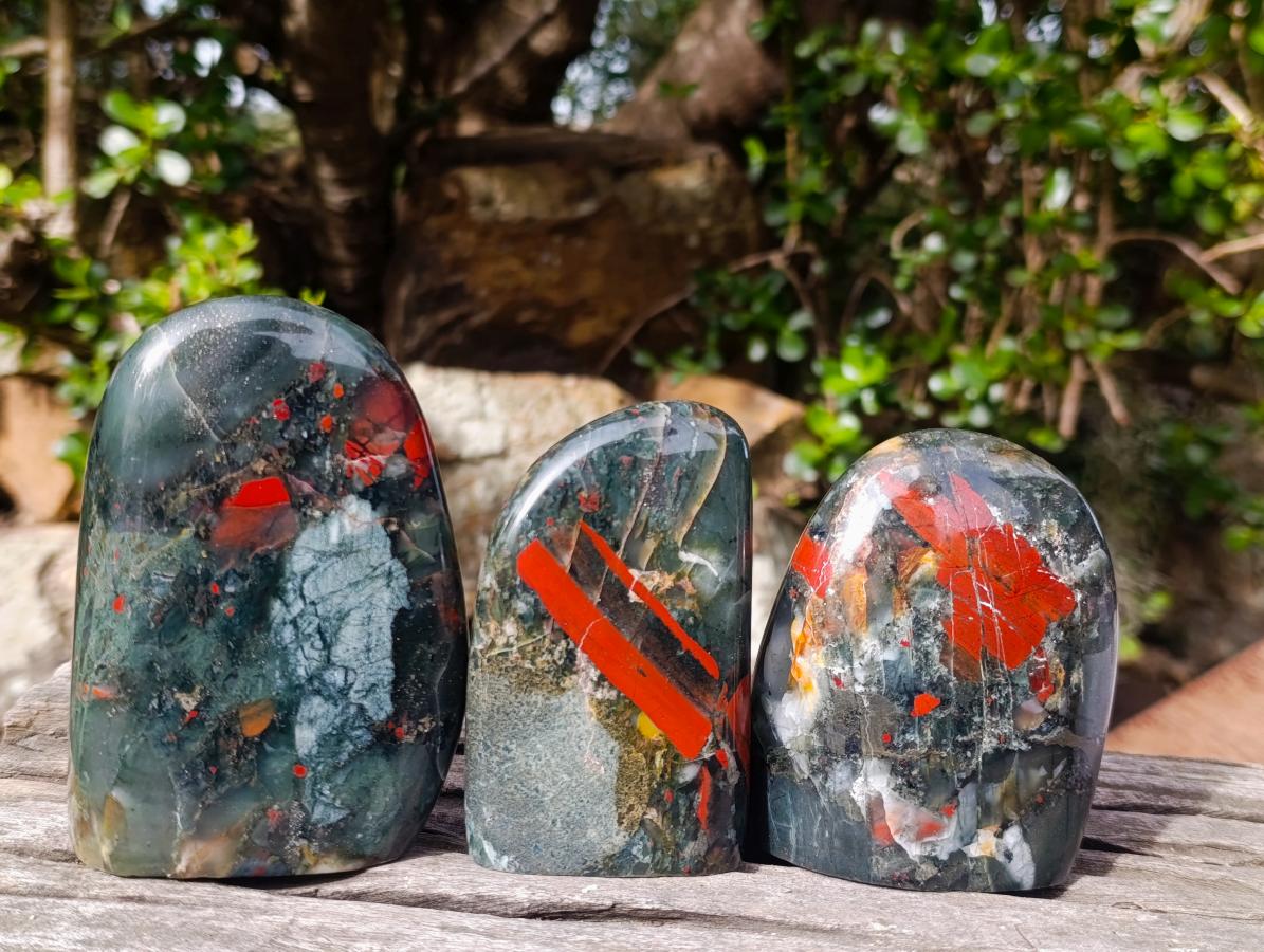 Polished Bloodstone Standing Display Pieces x 3 From Swaziland - Toprock Gemstones and Minerals 