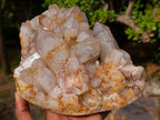 Natural Large Red Hematoid Quartz Cluster x 1 From Karoi, Zimbabwe - Toprock Gemstones and Minerals 