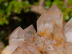 Natural Large Red Hematoid Quartz Cluster x 1 From Karoi, Zimbabwe - Toprock Gemstones and Minerals 