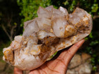 Natural Large Red Hematoid Quartz Cluster x 1 From Karoi, Zimbabwe - Toprock Gemstones and Minerals 