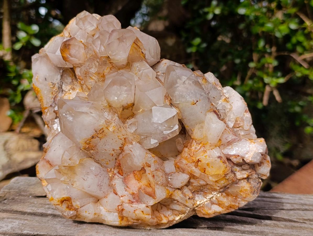 Natural Large Red Hematoid Quartz Cluster x 1 From Karoi, Zimbabwe - Toprock Gemstones and Minerals 