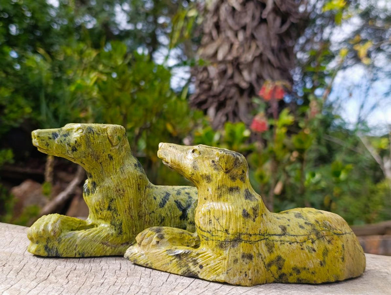 Hand Made Leopard Stone Callie Sheepdog Carvings x 2 From Zimbabwe - Toprock Gemstones and Minerals 