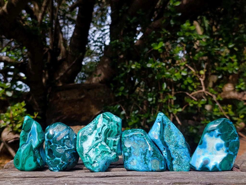 Polished Malacolla Free Forms x 6 From Kulukuluku, Congo - Toprock Gemstones and Minerals 