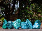 Polished Malacolla Free Forms x 6 From Kulukuluku, Congo - Toprock Gemstones and Minerals 