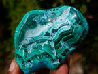 Polished Malacolla Free Forms x 6 From Kulukuluku, Congo - Toprock Gemstones and Minerals 