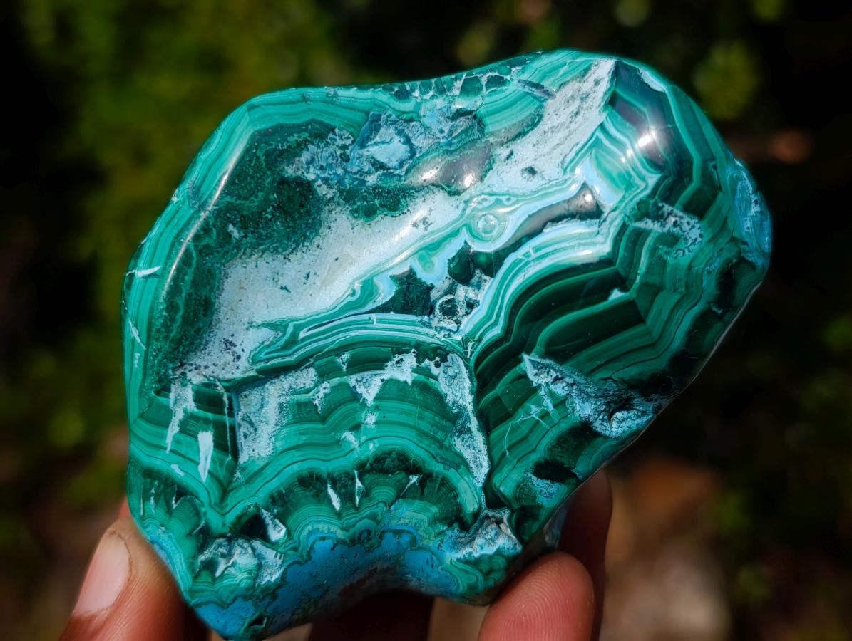 Polished Malacolla Free Forms x 6 From Kulukuluku, Congo - Toprock Gemstones and Minerals 