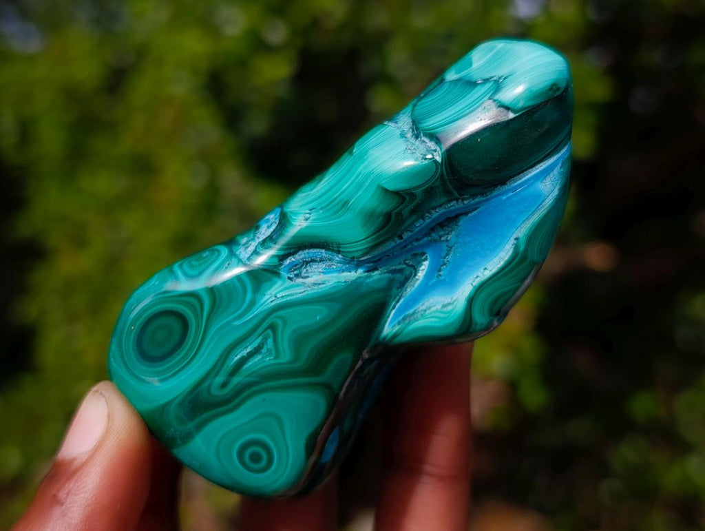 Polished Malacolla Free Forms x 6 From Kulukuluku, Congo - Toprock Gemstones and Minerals 
