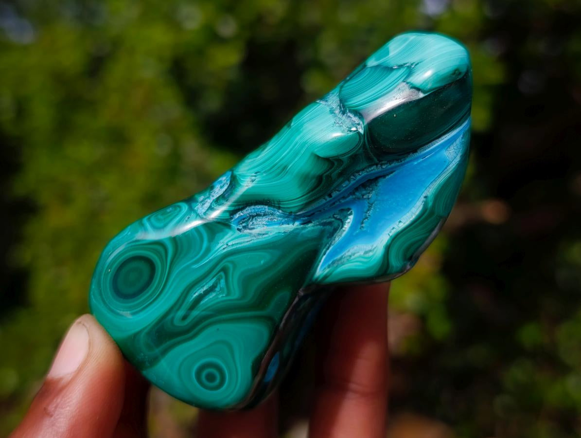 Polished Malacolla Free Forms x 6 From Kulukuluku, Congo - Toprock Gemstones and Minerals 