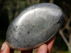 Polished Basalt Pharaoh Stone Galets x 12 From Iron Duke Mine, Zimbabwe - Toprock Gemstones and Minerals 