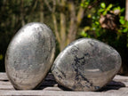Polished Basalt Pharaoh Stone Galets x 12 From Iron Duke Mine, Zimbabwe - Toprock Gemstones and Minerals 