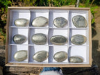 Polished Basalt Pharaoh Stone Galets x 12 From Iron Duke Mine, Zimbabwe - Toprock Gemstones and Minerals 