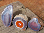 Polished One Side Red Shashe River Agate Nodules x 24 From Shashe River, Zimbabwe - Toprock Gemstones and Minerals 