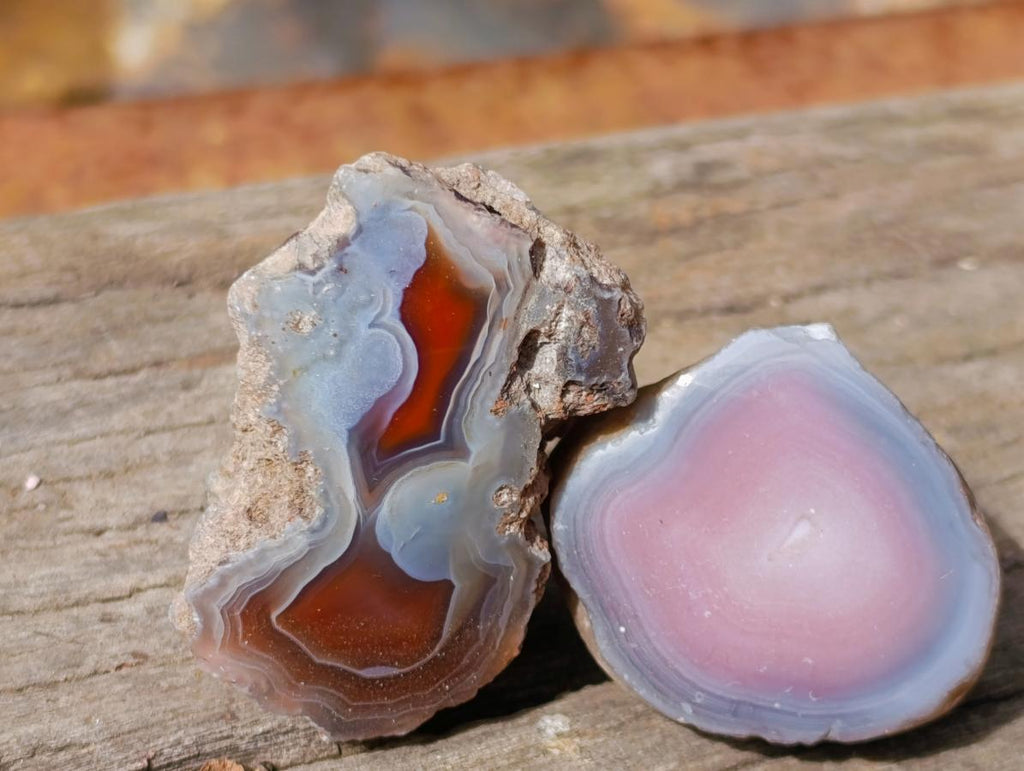 Polished One Side Red Shashe River Agate Nodules x 24 From Shashe River, Zimbabwe - Toprock Gemstones and Minerals 