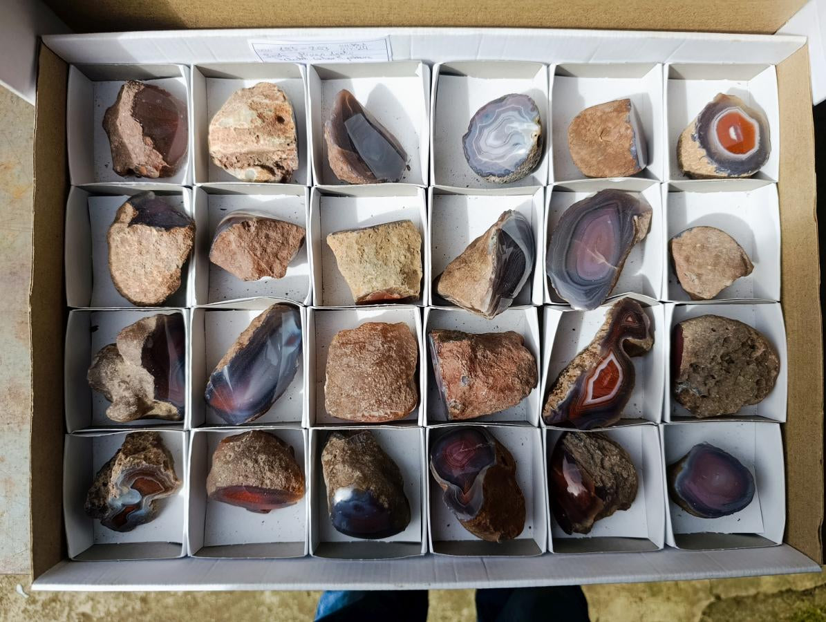 Polished One Side Red Shashe River Agate Nodules x 24 From Shashe River, Zimbabwe - Toprock Gemstones and Minerals 