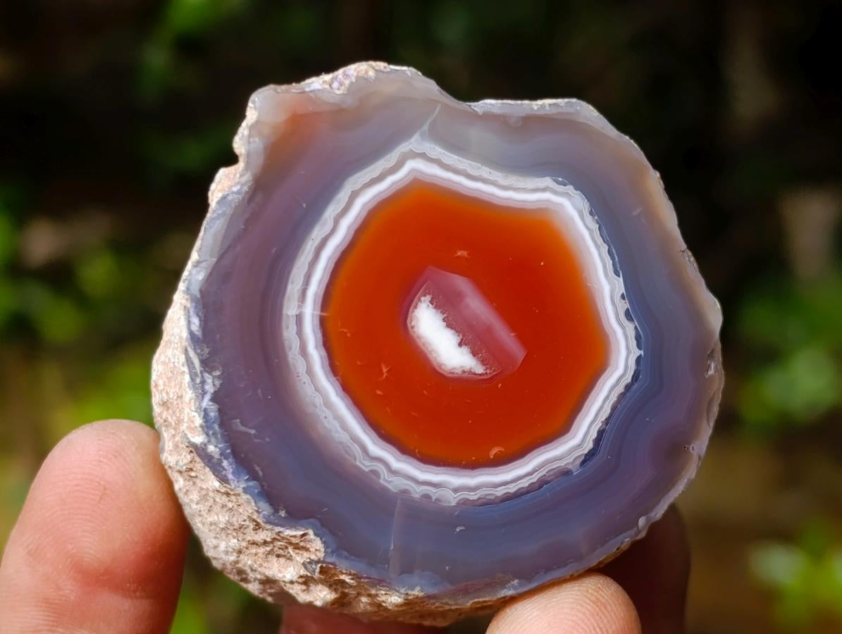 Polished One Side Red Shashe River Agate Nodules x 24 From Shashe River, Zimbabwe - Toprock Gemstones and Minerals 