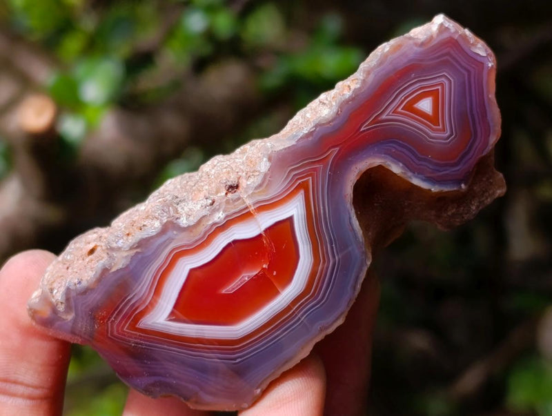 Polished One Side Red Shashe River Agate Nodules x 24 From Shashe River, Zimbabwe - Toprock Gemstones and Minerals 