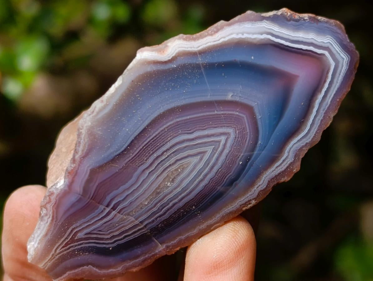 Polished One Side Red Shashe River Agate Nodules x 24 From Shashe River, Zimbabwe - Toprock Gemstones and Minerals 