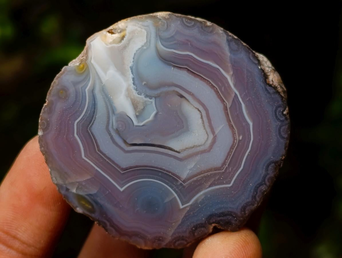 Polished One Side Red Shashe River Agate Nodules x 24 From Shashe River, Zimbabwe - Toprock Gemstones and Minerals 
