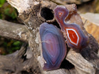 Polished One Side Red Shashe River Agate Nodules x 24 From Shashe River, Zimbabwe - Toprock Gemstones and Minerals 